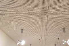 90527807_100621081591965_3158249083798290432_o